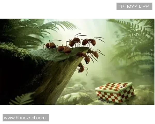 古代足球明星蚂蚁森林的传奇故事与现代环保理念的完美结合