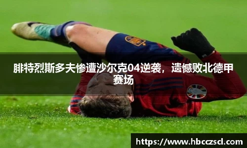腓特烈斯多夫惨遭沙尔克04逆袭，遗憾败北德甲赛场