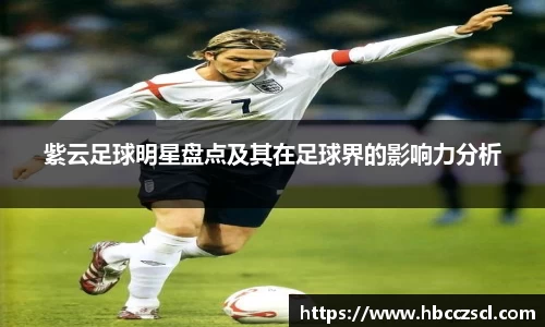 mk体育在线官网